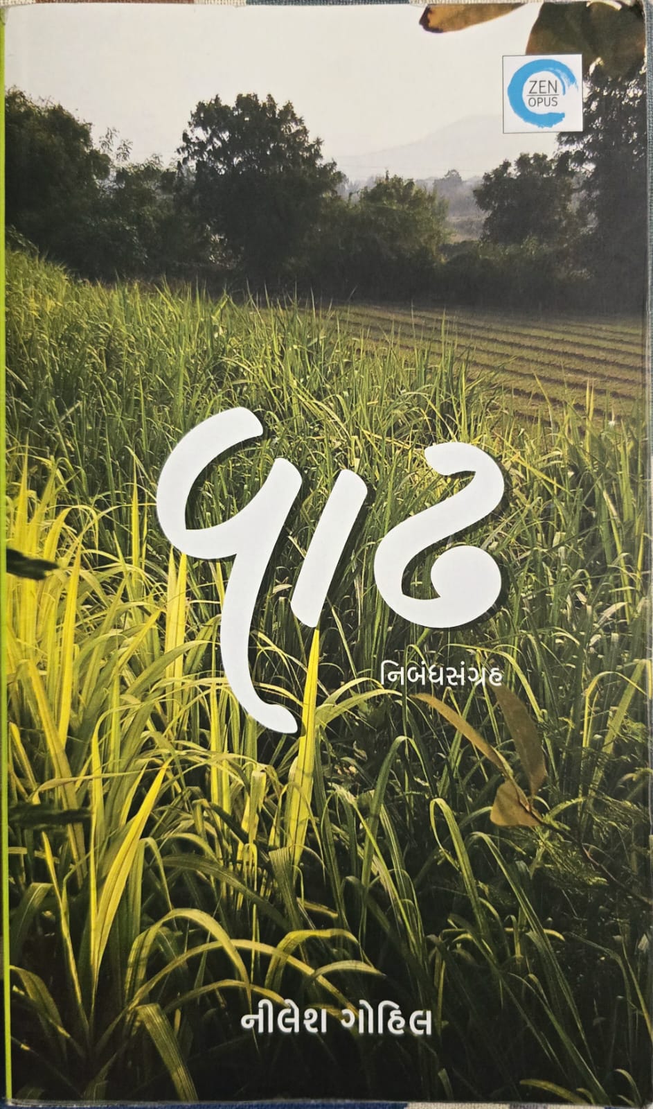 વાઢ Cover